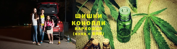 мяу мяу мука Алзамай